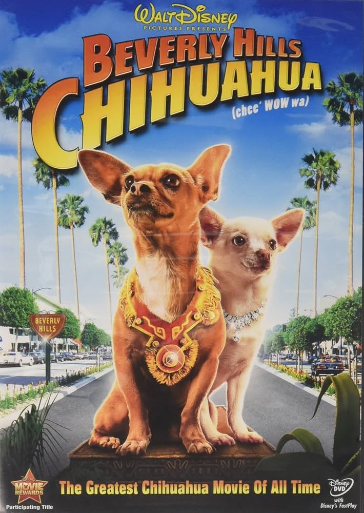 Beverly Hills Chihuahua — Complete Encyclopedia & Guide | Shapes