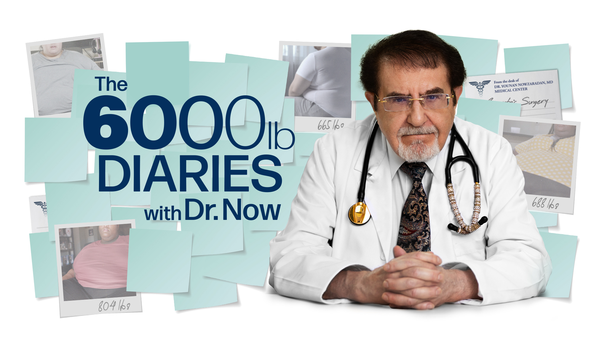The 6000 lb Diaries with Dr. Now Deep Dives — Advanced Analysis | Shapes