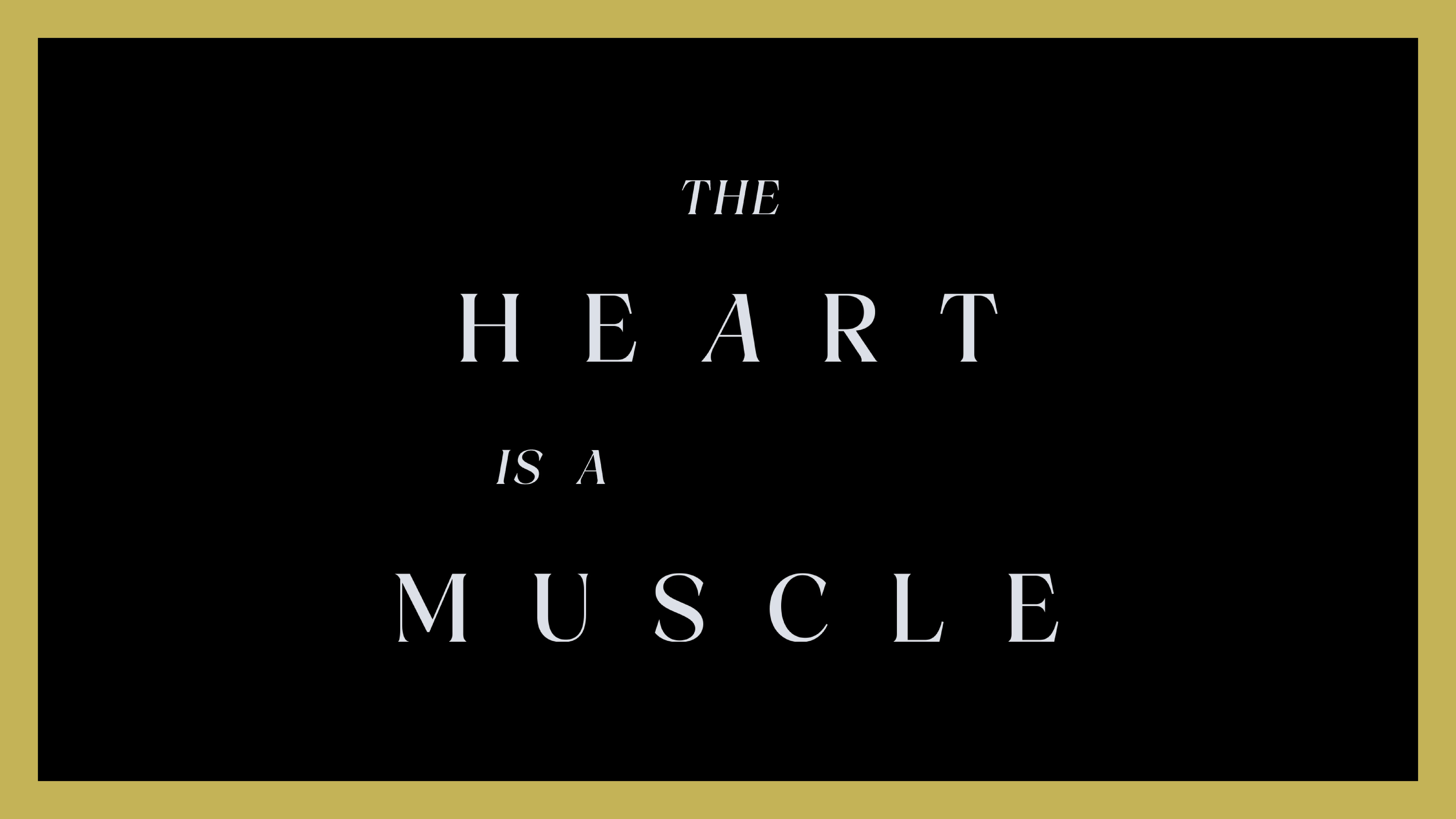 The Heart Is a Muscle — Complete Encyclopedia & Guide | Shapes